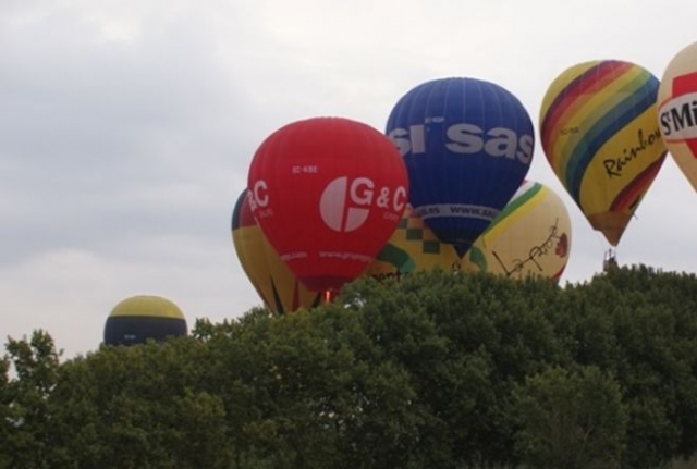  several balloons behind a tree 